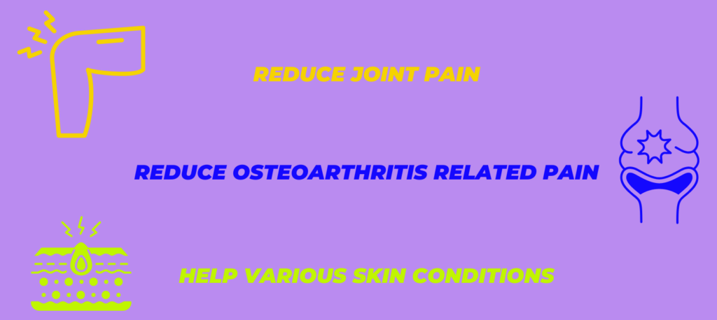 CBD FOR PHYSIOTHERAPISTS