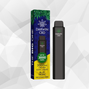 2000mg CBD Disposable Vape - Darwin CBD